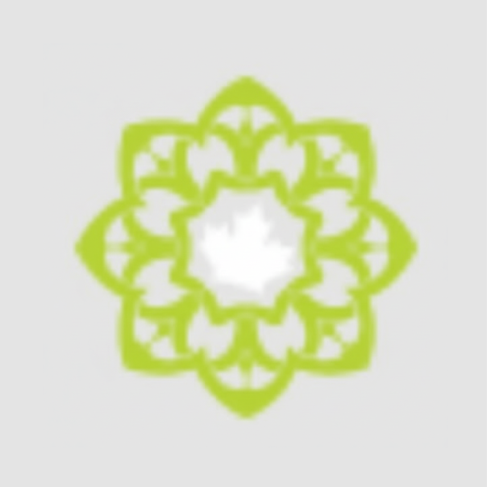 Centre Islamique Aisha Logo